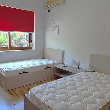 2v1- Center Dp Apartment Tirana